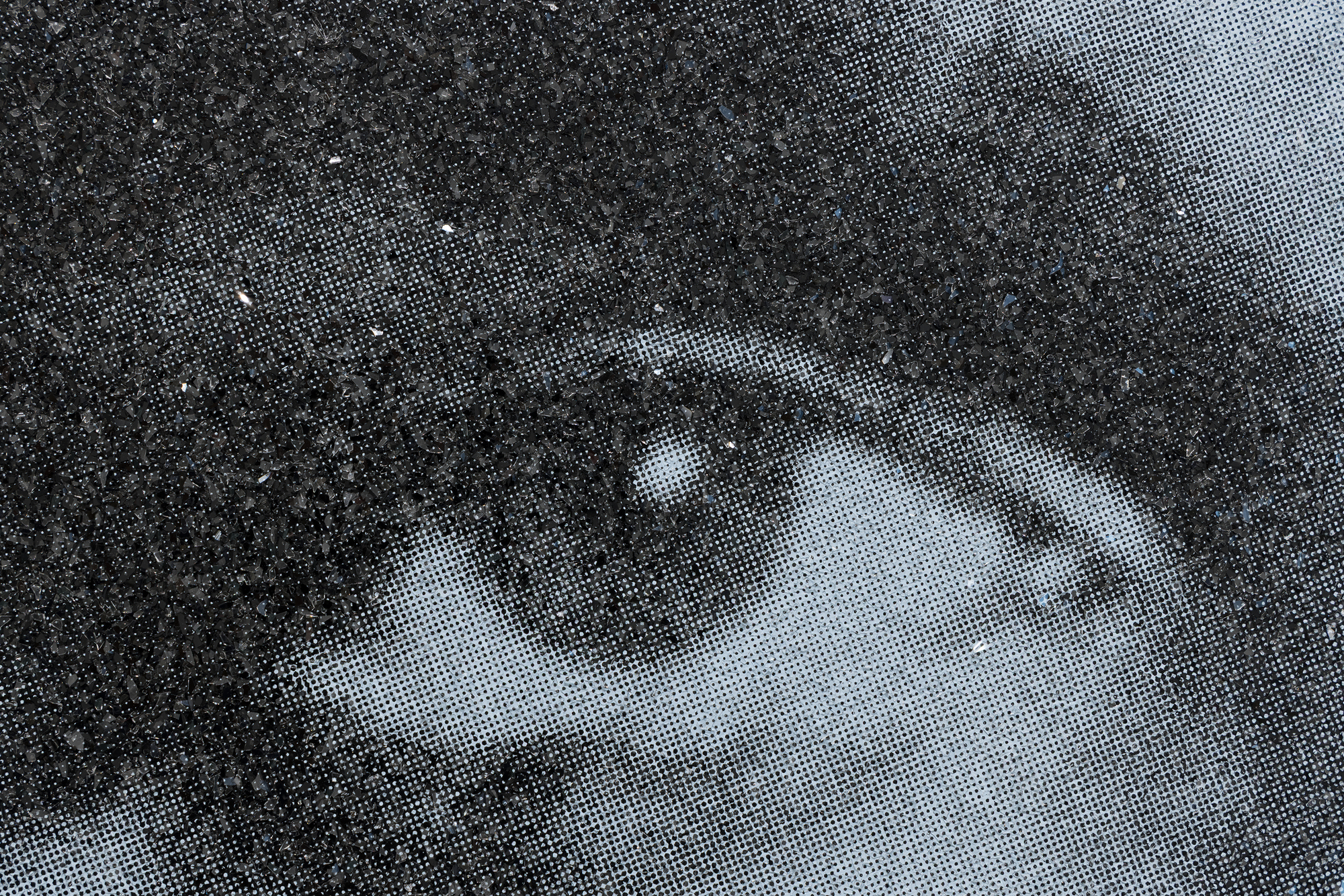 RUSSELL YOUNG - Elvis Heartbreak Hotel (Diptych) - acrylic and oil based ink and diamond dust hand pulled
screen print on linen - 63 x 94 in.