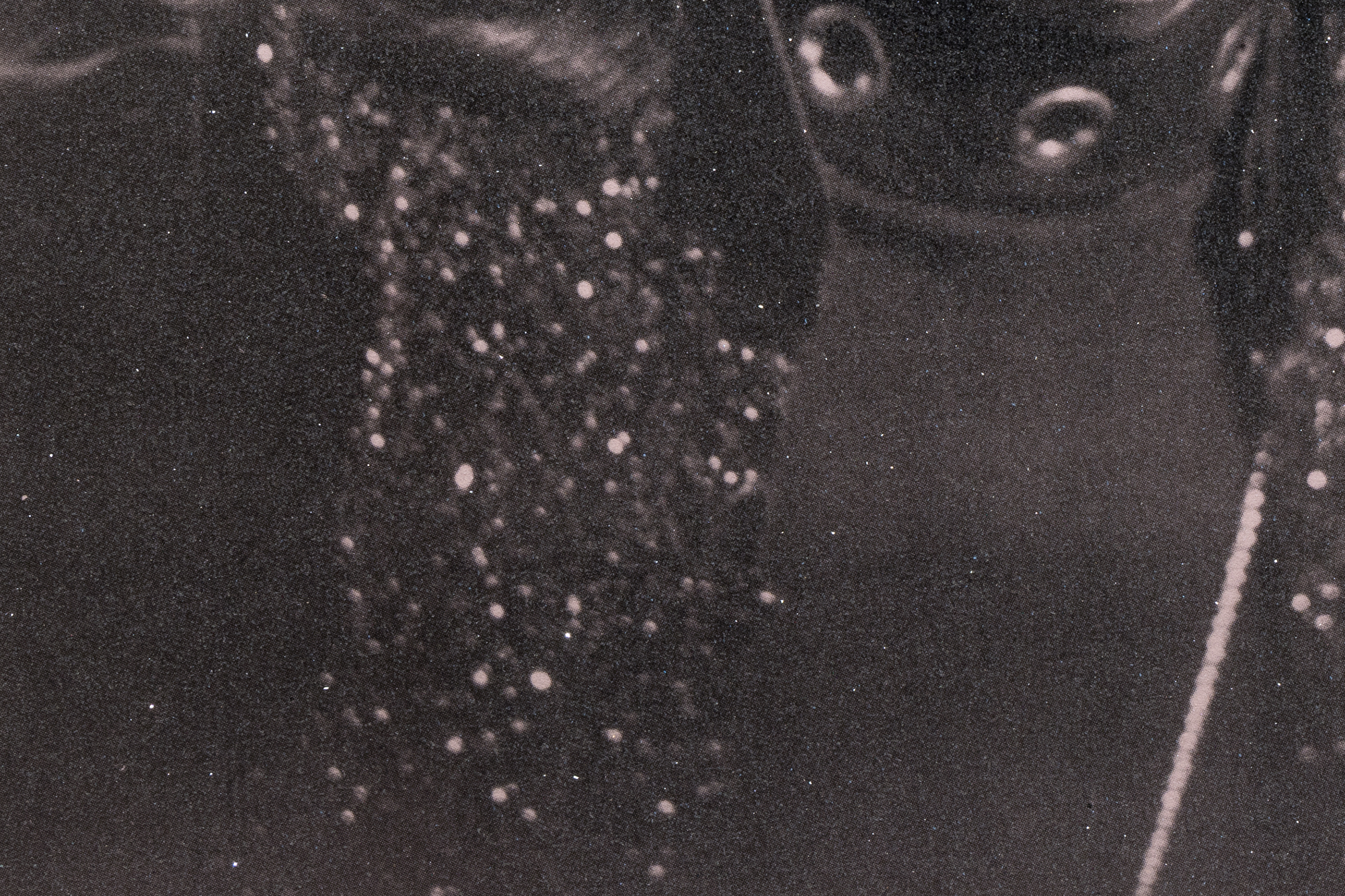 RUSSELL YOUNG - Mick Jagger (Sympathy for the Devil) - acrylic, oil based ink, screenprint with diamond dust on linen - 62 x 48 in.