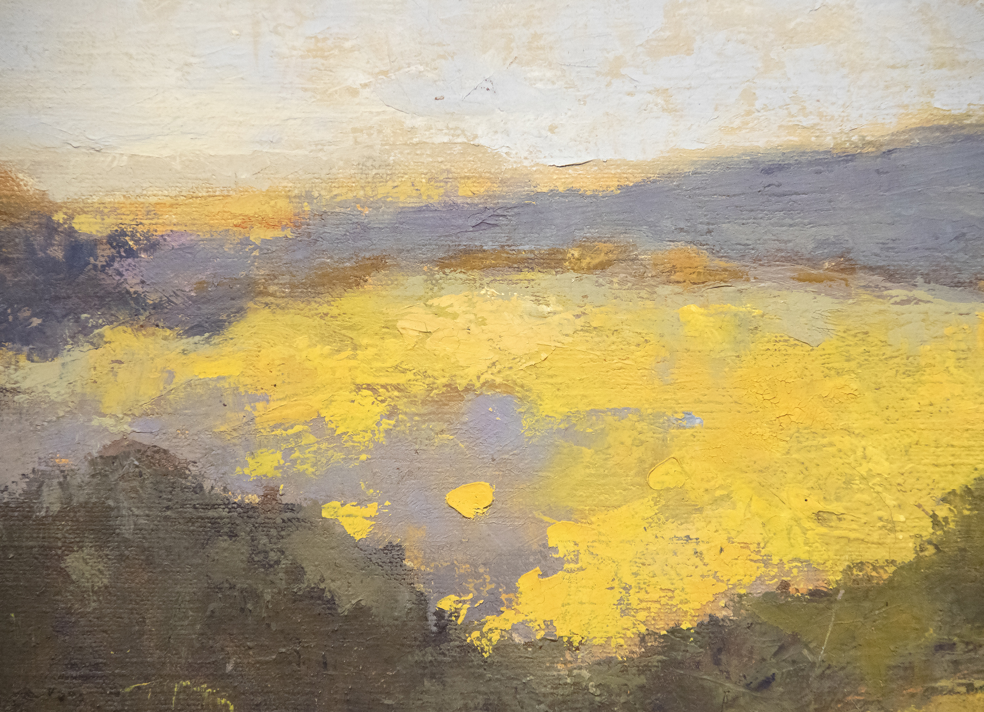 THOMAS MCGLYNN - California Landscape - oil on canvas - 25 x 30 in.