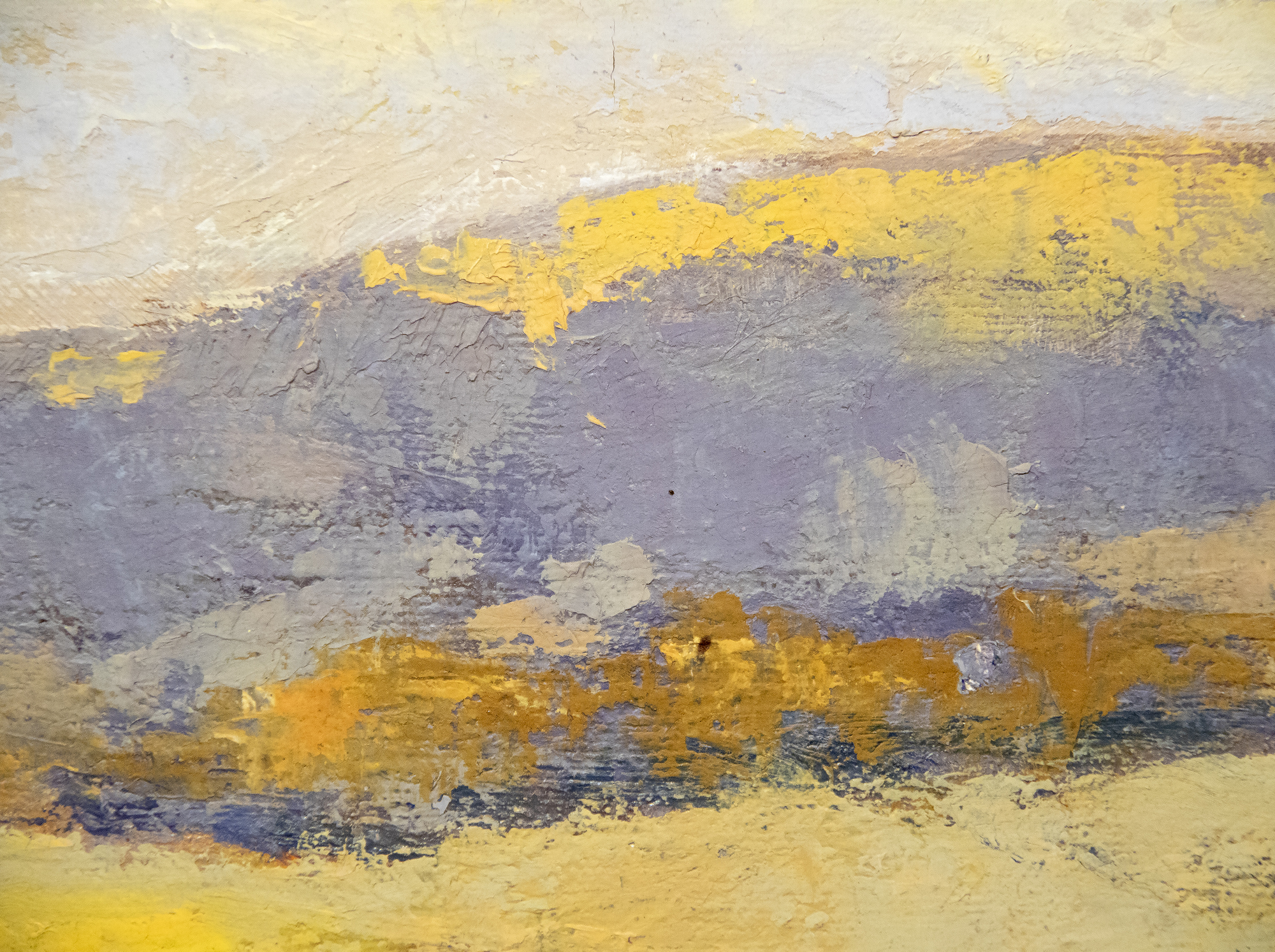 THOMAS MCGLYNN - California Landscape - oil on canvas - 25 x 30 in.