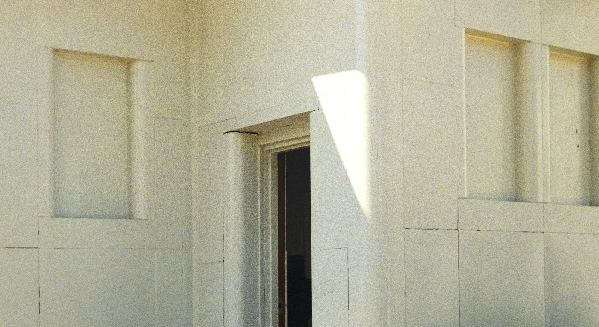 WILLIAM B. EGGLESTON - Untitled (From Democratic Forest) - archival pigment print - 31 1/2 x 48 in.