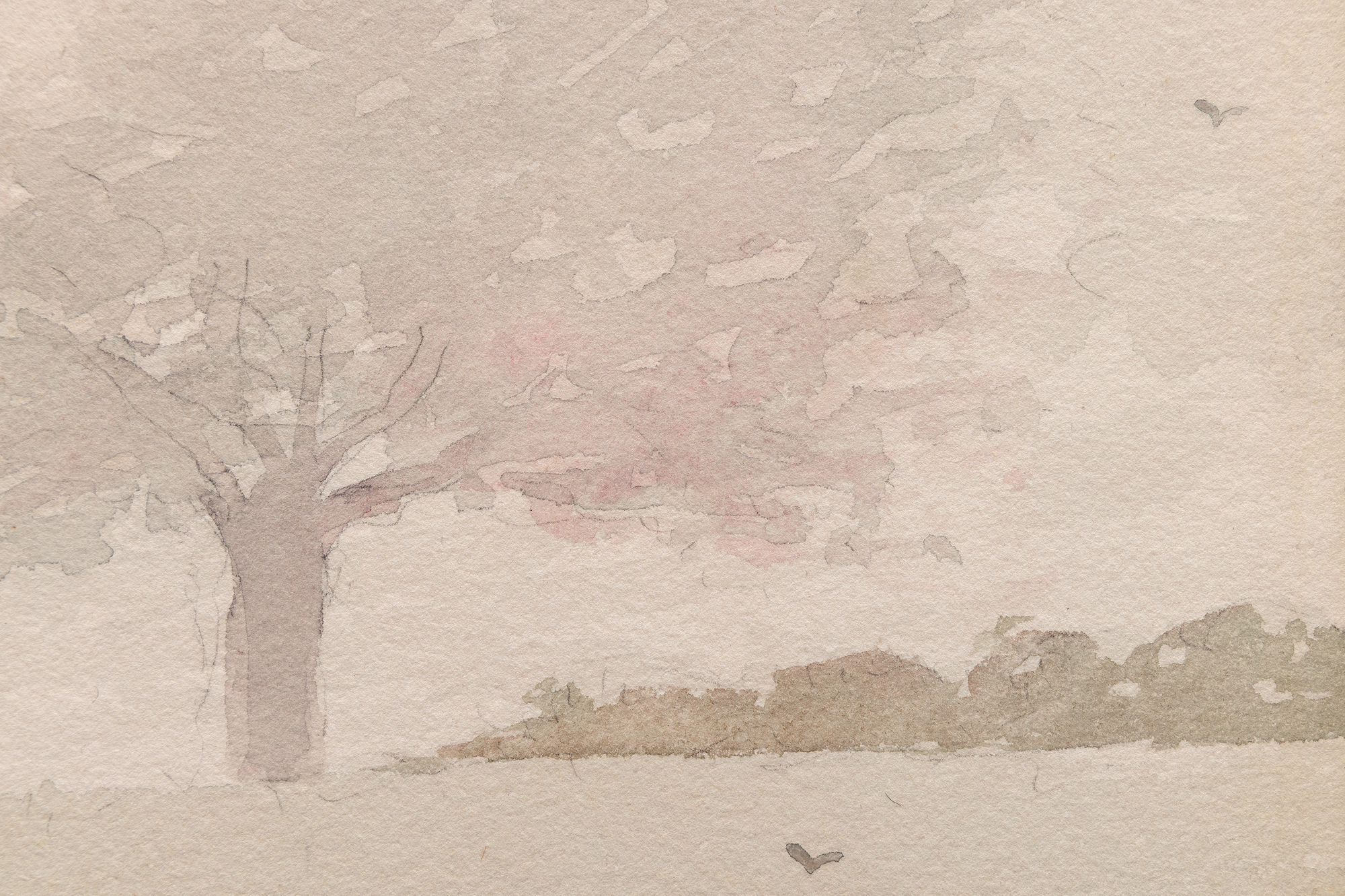 <div><font face=Lato size=3 color=black><em>Houghton Farms (Girls Strolling in an Orchard)</em> belongs to a pivotal moment in Winslow Homers career, created during the late 1870s as he transitioned from the wartime subjects that first brought him acclaim to the watercolor medium and domestic pastoral themes that would secure his place in the American canon. This period marked Homers sustained engagement with Houghton Farm in Mountainville in the Hudson Valley, where he spent extended time with his childhood friend and patron Lawson Valentine. Over these visits Homer produced approximately fifty watercolors, forming one of the most important bodies of early work in the medium. The significance of this output was later celebrated in the 2009 exhibition at Syracuse Art Galleries, <em>Winslow Homers Empire State: Houghton Farm and Beyond</em>.</font></div><br><br><div>&nbsp;</div><br><br><div><font face=Lato size=3 color=black>This watercolor is included in the artists catalogue raisonne and relates closely to other early examples from Houghton Farm, including <em>Fresh Air</em> from 1878 in the collection of the Brooklyn Museum. Its serene orchard scene, rendered with a soft and muted palette, reflects the themes of nostalgia, calm, and peace that define Homer's Restoration period. The transparency of the watercolor medium allows Homer to create a delicate, atmospheric impression of a misty morning, animated by touches of bright color in the figures dress patterns, the bow on a hat, a headwrap, and the bluebird perched on a branch.</font></div><br><br><div>&nbsp;</div><br><br><div><font face=Lato size=3 color=black>The continued importance of Homer's watercolor practice is affirmed by the current exhibition at the Museum of Fine Arts Boston, <em>Of Light and Air: Winslow Homer in Watercolor</em>, which underscores the enduring resonance of works from this transformative period. <em>Houghton Farms (Girls Strolling in an Orchard)</em> stands as a beautifully preserved example from the moment when Homer embraced watercolor as his primary mode of expression, illuminating the quiet lyricism that came to define his mature art.</font></div>