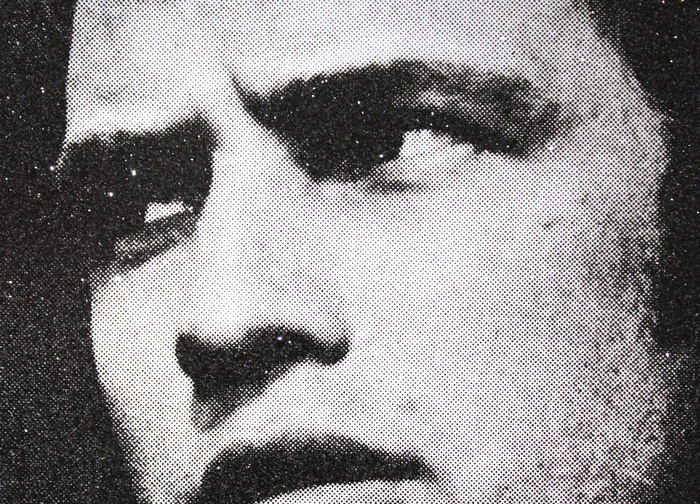 RUSSELL YOUNG - Brando Portrait RUSSELL YOUNG - Brando Portrait - screenprint on linen with diamond dust - 62 5/8 x 47 3/4 in.