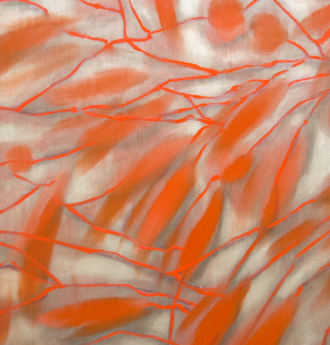 ROSS BLECKNER - West to East Ross Bleckner is a celebrated American painter whose works reference loss, memory, and change such as explorations of the cell during the AIDS epidemic or in response to his father’s cancer diagnosis. The 1965 MoMA exhibition that brought Op Art to the fore, The Responsive Eye and included artists Richard Anuszkiewicz, Tadasky, and Francis Celentano, had a profound influence on him as an artist. This painting, like his other immersive, large-scale works, elicit a powerful, hypnotic, dizzying effect. Aesthetically pleasing, Bleckner’s canvases explore perception – visual, emotional, physical, time. Bleckner is part of the same generation of and friends with Julian Schnabel, David Salle, Eric Fischl, and Peter Halley, all of whom returned painterly technique to the canvas.