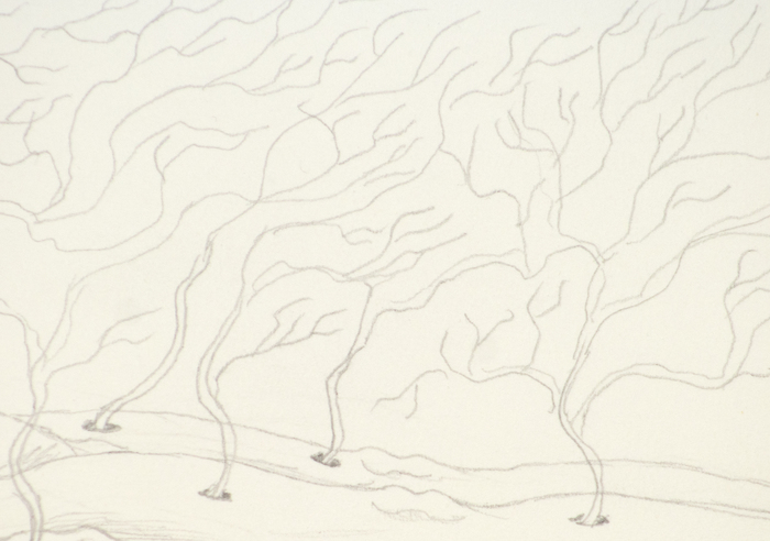 IRVING NORMAN - Untitled IRVING NORMAN - Untitled - pencil on paper - 9 x 11 3/4 in.
