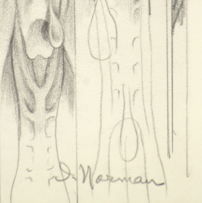 IRVING NORMAN - Untitled - pencil on paper - 11 3/4 x 9 in.