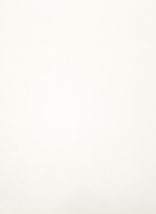 IRVING NORMAN - Untitled (Abstract Head) IRVING NORMAN - Untitled (Abstract Head) - graphite on paper - 12 x 8 7/8 in.