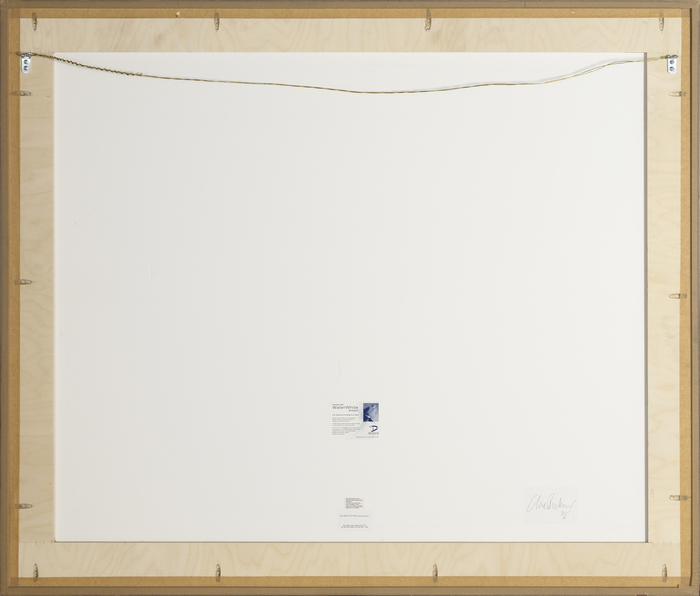 CLARE RICHARDSON - Untitled I (from Sylvan) CLARE RICHARDSON - Untitled I (from Sylvan) - c-print - 42 1/4 x 50 in.