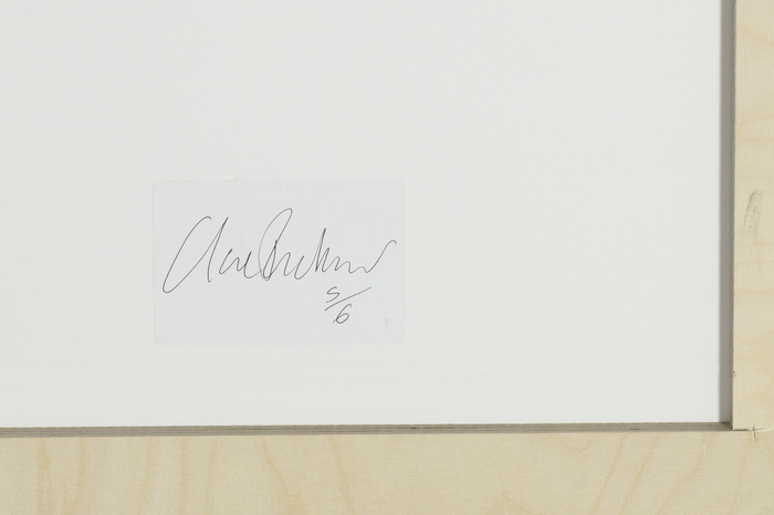 CLARE RICHARDSON - Untitled I (from Sylvan) CLARE RICHARDSON - Untitled I (from Sylvan) - c-print - 42 1/4 x 50 in.