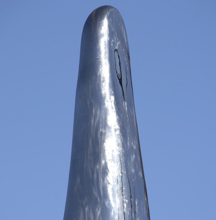 "Tongue" (2008) is a contemporary take on biomorphic abstraction, which was first popularized in the first quarter of the 20th century by artists including Jean Arp and Joan Miro. The work measures an astounding 26 feet tall and utilizes Not Vital's signature highly finished and highly polished aesthetic sense to great effect. The sculpture seems to absorb its surroundings with its mirror-like surface, an apparent contradiction because it is a modern material.  <br><br>The cow tongue is a particular subject of interest for the artist, as he was licked by one once, an experience he describes as alien and shocking. Tongues are tools for tasting, a sensory experience, much like the experience of seeing a sculpture.  <br><br>"Tongue" has remained in the same private collection since the creation of the work. Another example of "Tongue" (which was created in an edition of 3) was shown to great acclaim at the Yorkshire Sculpture Park in the United Kingdom, 21 May 2016 - 1 January 2017. Non Vital is represented in numerous museum collections including, the Bibliothèque Nationale, Paris, France, The Museum of Modern Art (MoMA), New York, The Solomon R. Guggenheim Museum, New York, USA.