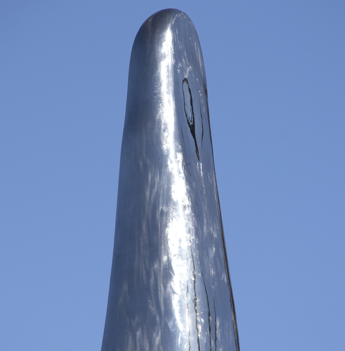 Not Vital - Tongue "Tongue" (2008) is a contemporary take on biomorphic abstraction, which was first popularized in the first quarter of the 20th century by artists including Jean Arp and Joan Miro. The work measures an astounding 26 feet tall and utilizes Not Vital's signature highly finished and highly polished aesthetic sense to great effect. The sculpture seems to absorb its surroundings with its mirror-like surface, an apparent contradiction because it is a modern material.
<br>
<br>The cow tongue is a particular subject of interest for the artist, as he was licked by one once, an experience he describes as alien and shocking. Tongues are tools for tasting, a sensory experience, much like the experience of seeing a sculpture.
<br>
<br>"Tongue" has remained in the same private collection since the creation of the work. Another example of "Tongue" (which was created in an edition of 3) was shown to great acclaim at the Yorkshire Sculpture Park in the United Kingdom, 21 May 2016 - 1 January 2017. Non Vital is represented in numerous museum collections including, the Bibliothèque Nationale, Paris, France, The Museum of Modern Art (MoMA), New York, The Solomon R. Guggenheim Museum, New York, USA.