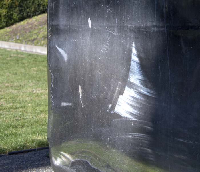 Not Vital - Tongue "Tongue" (2008) is a contemporary take on biomorphic abstraction, which was first popularized in the first quarter of the 20th century by artists including Jean Arp and Joan Miro. The work measures an astounding 26 feet tall and utilizes Not Vital's signature highly finished and highly polished aesthetic sense to great effect. The sculpture seems to absorb its surroundings with its mirror-like surface, an apparent contradiction because it is a modern material.
<br>
<br>The cow tongue is a particular subject of interest for the artist, as he was licked by one once, an experience he describes as alien and shocking. Tongues are tools for tasting, a sensory experience, much like the experience of seeing a sculpture.
<br>
<br>"Tongue" has remained in the same private collection since the creation of the work. Another example of "Tongue" (which was created in an edition of 3) was shown to great acclaim at the Yorkshire Sculpture Park in the United Kingdom, 21 May 2016 - 1 January 2017. Non Vital is represented in numerous museum collections including, the Bibliothèque Nationale, Paris, France, The Museum of Modern Art (MoMA), New York, The Solomon R. Guggenheim Museum, New York, USA.