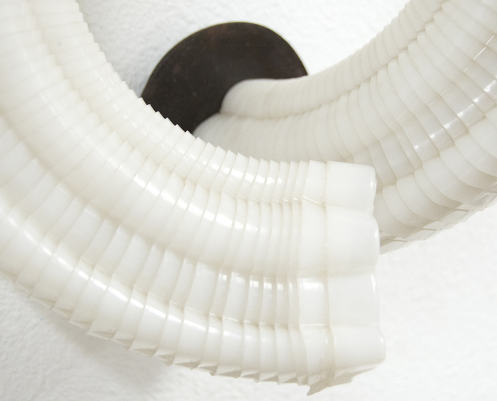 TIM HAWKINSON - Tusk TIM HAWKINSON - Tusk - 132 jello molds on iron plate - 16 x 14 1/2 x 8 in.