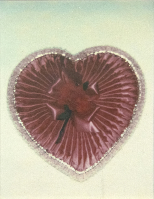 Candy Box ANDY WARHOL Heather James