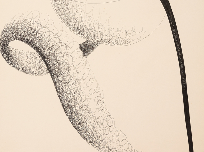 ALEXANDER CALDER - Tornado in Space ALEXANDER CALDER - Tornado in Space - ink on paper - 30 1/2 x 22 1/2 in.