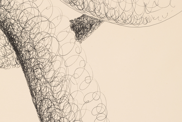 ALEXANDER CALDER - Tornado in Space ALEXANDER CALDER - Tornado in Space - ink on paper - 30 1/2 x 22 1/2 in.