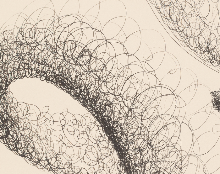 ALEXANDER CALDER - Tornado in Space ALEXANDER CALDER - Tornado in Space - ink on paper - 30 1/2 x 22 1/2 in.
