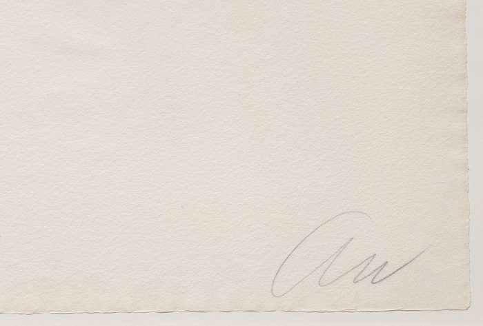ANDY WARHOL - Flowers (hand colored) ANDY WARHOL - Flowers (hand colored) - hand-colored screenprint - 41 x 27 1/4 in.
