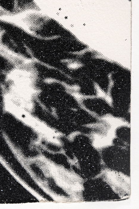 ANDY WARHOL - Diamond Dust Shoes (Black and White) ANDY WARHOL - Diamond Dust Shoes (Black and White) - screenprint with Diamond Dust - 40 x 59 1/2 in.