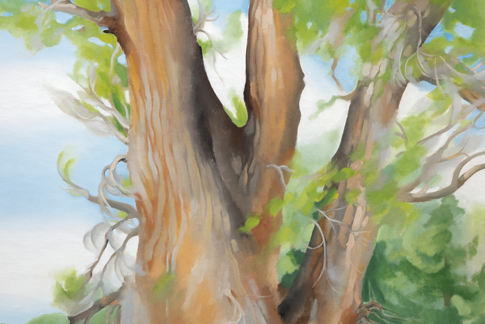 GEORGIA O'KEEFFE - Cottonwood Tree (Near Abiquiu), New Mexico - oil on canvas - 36 x 30 in.