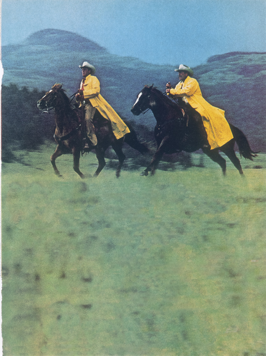 RICHARD PRINCE - Untitled (Cowboy) RICHARD PRINCE - Untitled (Cowboy) - dye coupler print - 79 x 59 in.