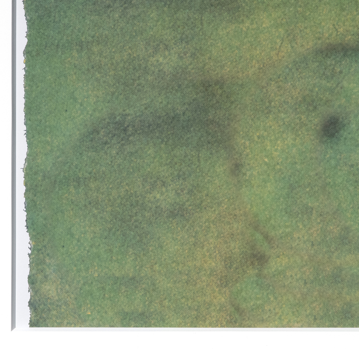 RICHARD PRINCE - Untitled (Cowboy) - dye coupler print - 79 x 59 in.