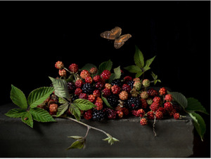 PAULETTE TAVORMINA-Blackberries and Butterfly, After A.C.