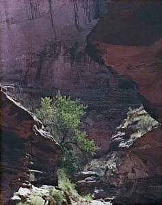 ELIOT PORTER - Coyote Gulch, Escalante River, Glen Canyon, Utah - dye-transfer print - 15 3/4 x 12 1/4 in.