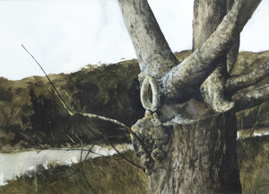 GREGORY SUMIDA-Tree Trunks