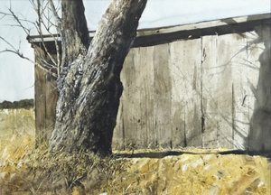 GREGORY SUMIDA-Tree Trunk and Barn