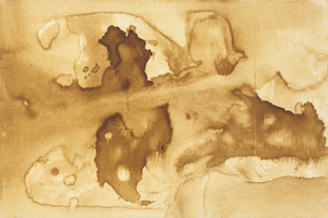 HERB ALPERT - الوهم البصري - القهوة على قماش - 24 × 36 في.