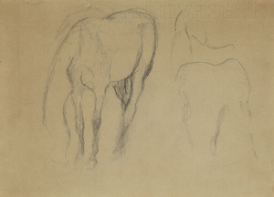 EDGAR DEGAS - Étude de cheval - black chalk on laid paper - 12 1/4 x 9 3/8 in.