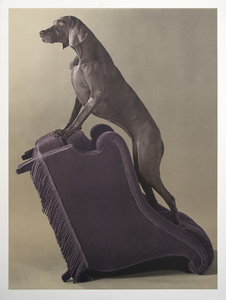 WILLIAM WEGMAN - Armed Chair - color photo lithograph - 49 3/4 x 37 1/2 in.