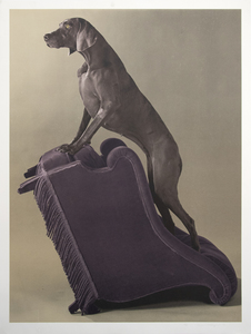 WILLIAM WEGMAN - Armed Chair - カラーフォトリトグラフ - 49 3/4 x 37 1/2 in.