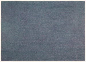 קונסטנס מלינסון - ללא כותרת #12 - עיפרון צבעוני על נייר - 26 x 36 אינץ '.