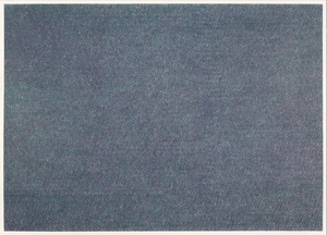 CONSTANCE MALLINSON - 無題#12 - 紙に色鉛筆 - 26 x 36 in.