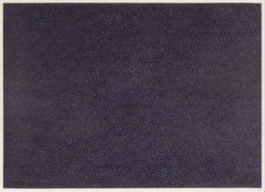 CONSTANCE MALLINSON - 無題 #11 - 紙に色鉛筆 - 26 x 36 in.