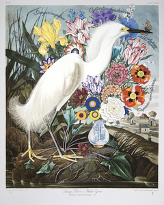 PENELOPE GOTTLIEB - Iris pseudacorus - digital print on Epson Archival 100% cotton - 38 x 26 in.