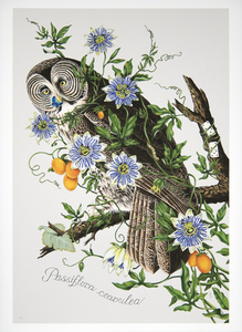 PENELOPE GOTTLIEB - Passiflora cearulea - digital print on Epson Archival 100% cotton - 38 x 26 in.
