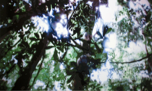 TIMOTHY TOMPKINS - Jungle v.1 - Handelsemaille auf Aluminium - 48 x 80 in.