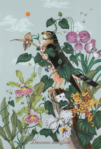 PENELOPE GOTTLIEB - Diosorea Bulbifera - أكريليك وحبر فوق طباعة Audubon - 38 × 26 بوصة.