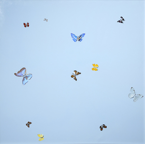 DAMIEN HIRST - Forgotten Thoughts - papillons et vernis ménager sur toile - 68 x 68 x 1 3/8 in. (point à point)