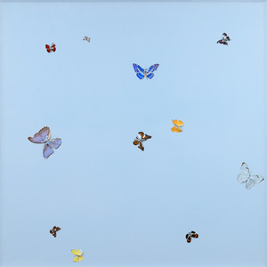 DAMIEN HIRST - Forgotten Thoughts - papillons et vernis ménager sur toile - 48 x 48 in.