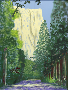 Over his six-decade career, David Hockney reinvigorated the role of the representational artist by continually responding to his surroundings and embracing new forms of picture making. He was an early adaptor of technological advances such as Polaroid film, color photocopiers, and fax machines. He has also been the painter capable of reading the brushstrokes of Vermeer, Caravaggio, Velázquez, and Ingres and assert confidently that they too, relied upon instruments such as the camera obscura to trace out their pictures. <br><br>Beginning in 2009, Hockney exploited the drawing and painting applications of an iPad. Using its range of digital brushstrokes, color effects, and working with textures, dots, lines, and scribbles. his idiosyncratic perception of the natural world had never been more fully realized.  Nor has he been more popular or credible in providing the blissful if guilty pleasure we feel in the presence of these works. When the Metropolitan Museum hosted his 2017 retrospective, visually stunning iPad paintings were chosen as the grand finale for one of their most memorable exhibitions in recent history. <br><br>Yosemite II, October 16th, 2011, is a monumental work and among the largest of the “Yosemite Suite” of some two dozen iPad ‘paintings’ that extends our appreciation of the breadth of Hockney’s fascination with the American West. He is the artist who made sun-splashed swimming pools de rigueur symbols of California culture. That he dared join the ranks of artists such as Albert Bierstadt and Ansel Adams, known for their dramatic lighting, atmospheric effects, and Yosemite’s awe-inspiring scale is a measure of Hockney’s self-professed certainly that this art is now, and forever woven into the fabric of art history. Nothing makes this claim more valid than his rejection of a single vanishing point perspective that has dominated Western art since the Renaissance. Hockney has often cited Meindert Hobbema’s painting The Avenue at Middelbarnis of 1689 as an apt demonstration of the dynamic impact of contrasting vanishing points: the first, a road that recedes to a vanishing point, and another in the sky, where the eye is led upward because of the verticality of the trees. Yosemite II, October 16th, 2011 presents as a similarly immersive experience for the viewer, no longer the passive observer, but instead, the active participant impelled to consciously and simultaneously connect with multiple perspectives – the second of which presents as the white granite face of El Capitan.