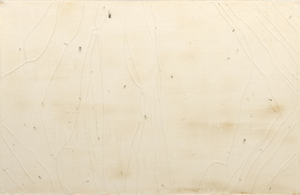 האמן הסיני העכשווי ג&#039;אנג הואן ידוע בעיקר בזכות אמנות הפרפורמנס הפרובוקטיבית והמאתגרת שלו. החרקים המפורטים בציור זה מזכירים את יצירת הביצוע המרשימה של האמן, 12 מ&quot;ר (1994), שבה ישב מכוסה בדבש ושמן דגים בשירותים ציבוריים לא משויסים, ומשך זבובים וחרקים אחרים. כאן, בד מחליף בשר, ומאפשר לחרקים לחקור את השטח האנושי הזה. כדור הארץ החיים מס &#039;19 (2007) נועד להיות מדיטציה על היכולת של המוח והרוח להתגבר על אי נוחות פיזית.