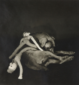 WILLIAM WEGMAN - Three Dolls - Silver gelatin print - 7 1/4 x 6 3/4 in.