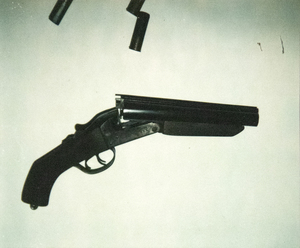 ANDY WARHOL-Gun