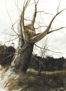 GREGORY SUMIDA-Approaching Storm, New Branches