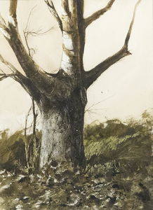 GREGORY SUMIDA-Tree Study, Whittier, CA