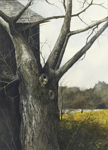 GREGORY SUMIDA-Tree with Bare Branches